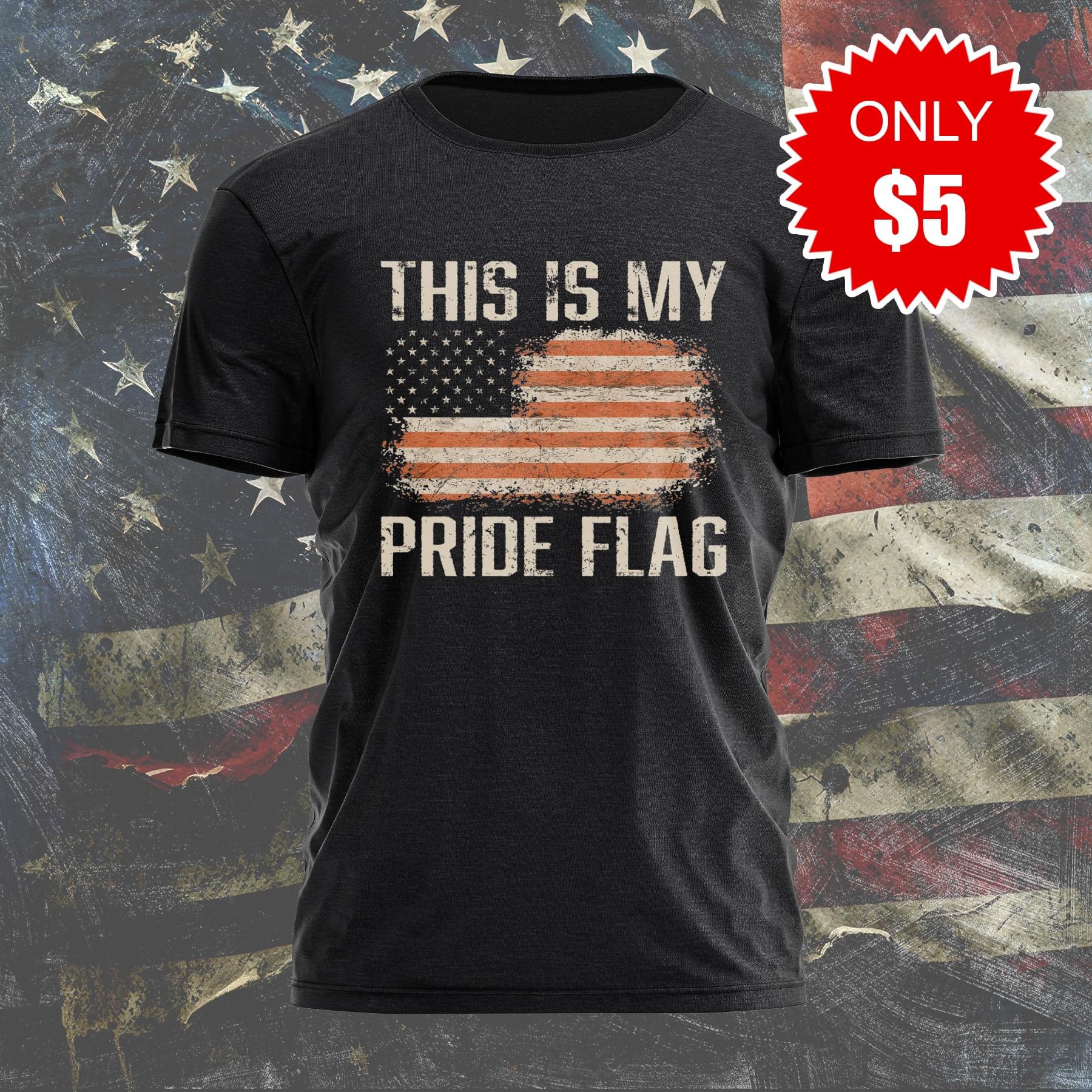 This Is My Pride Flag T-Shirt